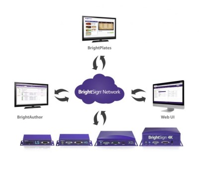 BrightSign Network, licens för 1 spelare 1 år