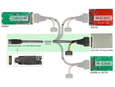 DeLOCK M.2 Key M till U.2 SFF-8639 NVMe-adapter med 50 cm kabel#3