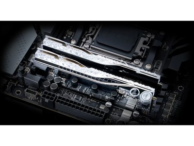 32 GB (2x16GB) DDR5-8000 G.Skill Trident Z5 Royal Neo RGB Silver CL38, AMD EXPO#3