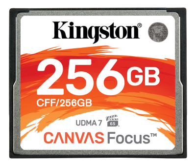 Compact Flash 256 GB Kingston Canvas Focus#1