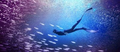 Adobe Premiere Elements 2026, PC/Mac, E-licens, 3 år