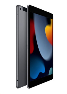 Apple iPad (2021) 10,2 tum Wi-Fi + Cellular 256 GB - Rymdgrå#2