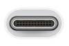 Apple USB-C till USB-A Adapter#2