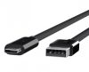 USB 3.1-kabel A ha till C ha, 1 meter, 10 GB/s, 3A, Belkin - Svart#1