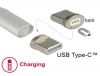 DeLOCK Magnetic Adapter USB-C hane#2