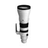 Sigma 300-600mm f/4 DG OS Sports till Sony FE#2