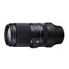 Sigma 100-400mm F/5-6,3 DG DN OS Contemporary till Sony FE#2
