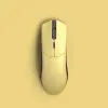 Glorious PC Gaming Race Model O PRO Wireless - Golden Panda#1