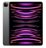 Apple iPad Pro 12,9-tum (2022) Wi-Fi 256 GB - Rymdgrå